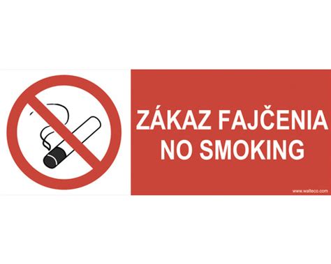 Tematická fotografia znázorňujúca zákaz fajčenia vo verejnom priestore v Európe