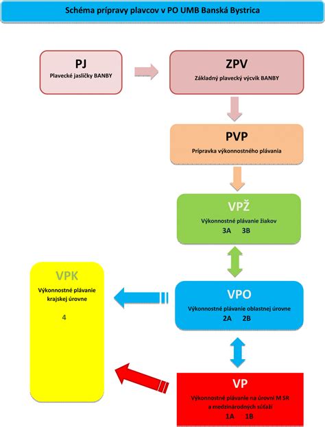Ilustračná schéma prípravy rýchlej marinády