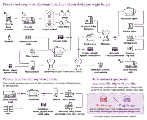 Infografika zobrazujúca proces výroby drevných peliet z pilín a iných drevných odpadov