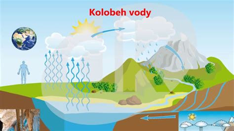 Infografika: Kolobeh vody v pôde a rastlinách