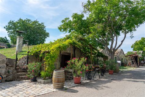 Koláž rôznych typov vínnych pivníc - kamenná, betónová, pivnica vo svahu.