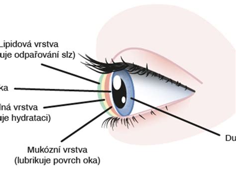 Ilustrácia ľudského oka s naznačeným slzným filmom a prúdom vzduchu z klimatizácie