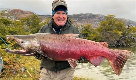 Ilustračné foto rôznych druhov lososa v obchode