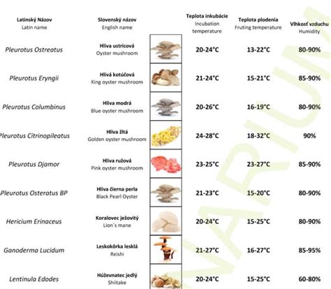 Infografika zobrazujúca optimálne teploty pre rôzne miestnosti v domácnosti.