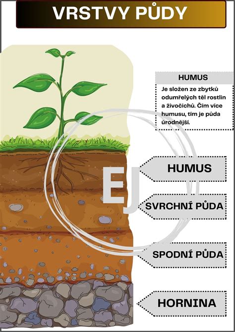 Infografika popisujúca jednotlivé vrstvy filtračného systému.