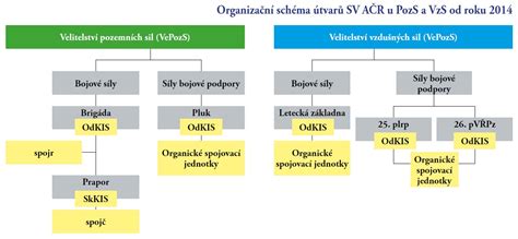 Schéma aromaterapeutického využitia živice: od vdychovania dymu až po masážne zmesi