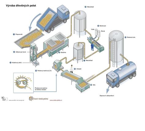 Schéma znázorňujúca proces vysychania dreva od čerstvého stavu až po dosiahnutie rovnovážnej vlhkosti v interiéri