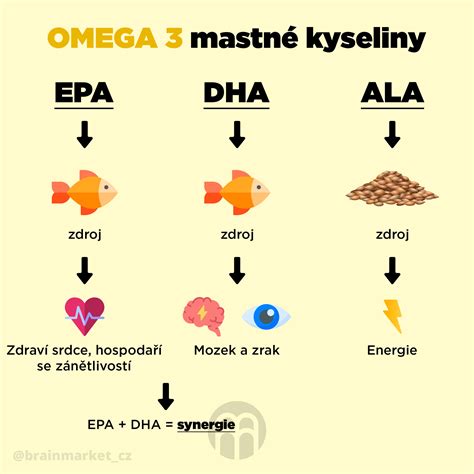 Schéma nutričného zloženia ľanového semena: vláknina, omega-3 mastné kyseliny, bielkoviny a antioxidanty.