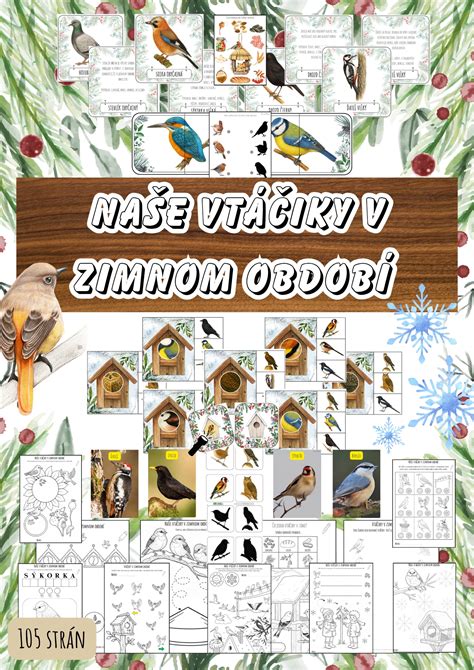 nákres koaxiálneho komína s ukážkou tvorby námrazy v zimnom období