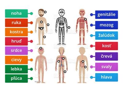 Ilustrácia vplyvu suchého vzduchu na ľudské telo (vysušené sliznice, podráždené oči)