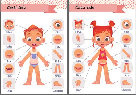 Ilustrácia znázorňujúca ľudské telo s označenými tepnami na krku, zápästí a stehnách, kde sa odporúča aplikovať chlad.