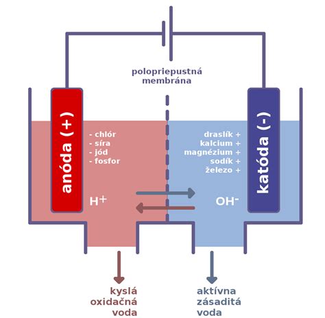 Schéma fungovania ionizátora vody: proces elektrolýzy a oddelenie alkalickej a kyslej vody