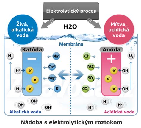 Ilustrácia procesu elektrolýzy vody v ionizátore