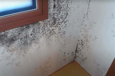 vizualizácia orosených okien a vlhkých máp na stenách ako prejavy vysokej vlhkosti v interiéri