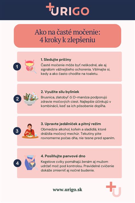 Infografika zobrazujúca kroky servisu kotla