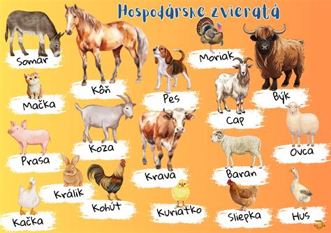 Ilustrácia rôznych typov vyhrievaných napájačiek pre hospodárske zvieratá