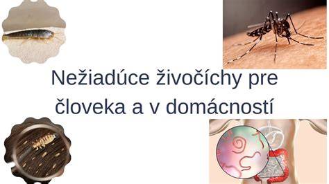 Infografika znázorňujúca ideálne rozmedzie relatívnej vlhkosti pre človeka a priestor