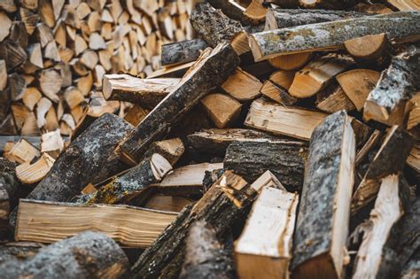 Infografika znázorňujúca proces prirodzeného vysúšania dreva od čerstvo spíleného kmeňa až po palivové drevo s vlhkosťou pod 20 %.