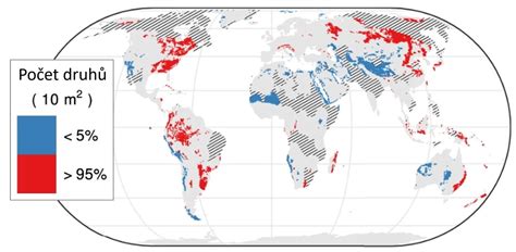 Infografika biodiverzity amazonského pralesa
